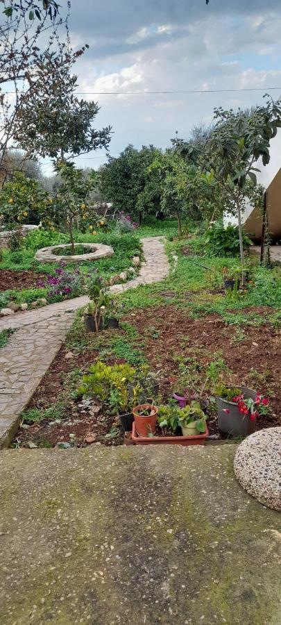 A Modern Farmhouse With Big Garden Trapeza  Экстерьер фото