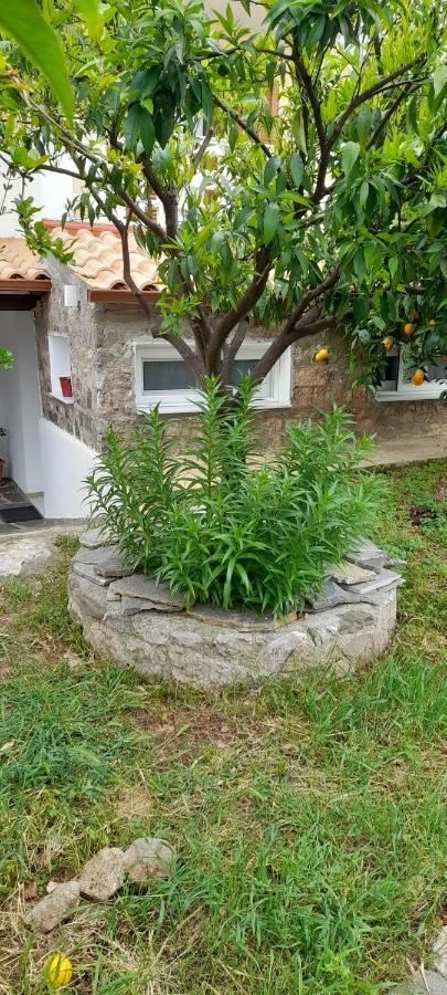 A Modern Farmhouse With Big Garden Trapeza  Экстерьер фото