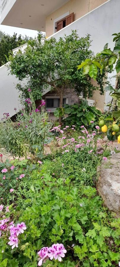 A Modern Farmhouse With Big Garden Trapeza  Экстерьер фото